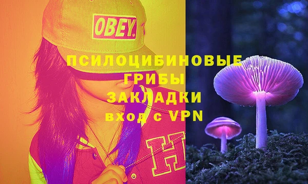 бошки Богородск