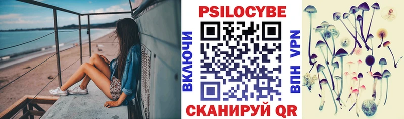цена наркотик  Ставрополь  Галлюциногенные грибы GOLDEN TEACHER 