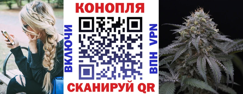 Бошки марихуана VHQ  Ставрополь 